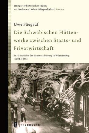 Die Schwäbischen Hüttenwerke zwischen Staats- und Privatwirtschaft von Fliegauf,  Uwe