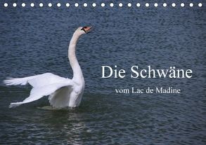 Die Schwäne vom Lac de Madine (Tischkalender 2018 DIN A5 quer) von Nitzold-Briele,  Gudrun