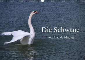 Die Schwäne vom Lac de Madine (Wandkalender 2018 DIN A3 quer) von Nitzold-Briele,  Gudrun