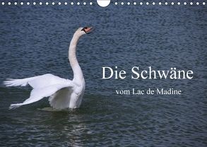 Die Schwäne vom Lac de Madine (Wandkalender 2018 DIN A4 quer) von Nitzold-Briele,  Gudrun