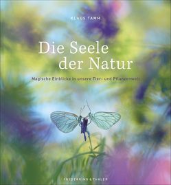 Verwunschene Wildnis von Ludwig,  Mario, Tamm,  Klaus