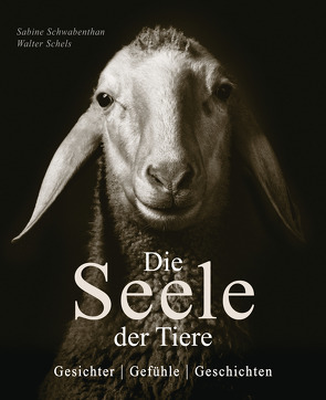 Die Seele der Tiere. Gesichter. Gefühle. Geschichten von Remy-Schwabenthan,  Sabine, Schels,  Walter