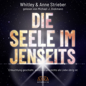 DIE SEELE IM JENSEITS (Ungekürzte Lesung) von Diekmann,  Michael J., Strieber,  Anne, Strieber,  Whitley