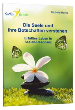 Die Seele und ihre Botschaften verstehen von Haintz,  Dr. Michelle