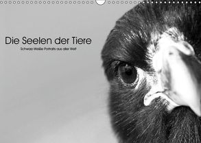 Die Seelen der wilden Tiere (Wandkalender 2019 DIN A3 quer) von Skrypzak,  Rolf