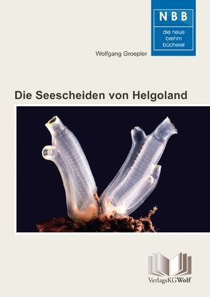 Die Seescheiden von Helgoland von Groepler,  Wolfgang