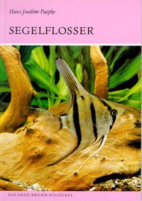 Die Segelflosser von Paepke,  Hans J