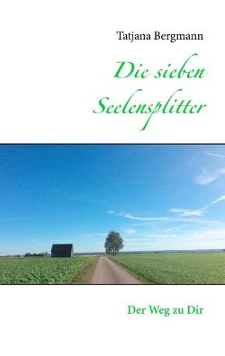 Die sieben Seelensplitter von Bergmann,  Tatjana