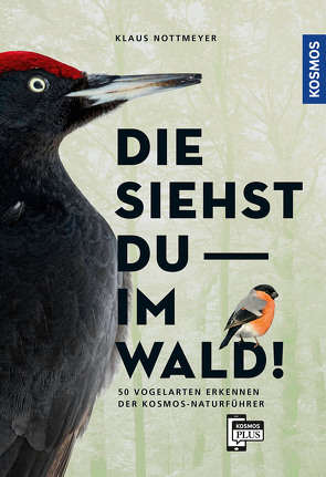 Die siehst du im Wald! 64 Vogelarten erkennen von Nottmeyer,  Klaus