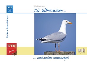 Die Silbermöwe und andere Küstenvögel von Kattmann,  Ulrich