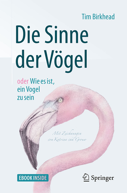 Die Sinne der Vögel oder Wie es ist, ein Vogel zu sein von Birkhead,  Tim, Niehaus-Osterloh,  Monika