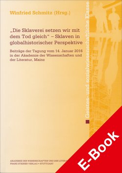 „Die Sklaverei setzen wir mit dem Tod gleich“ – Sklaven in globalhistorischer Perspektive von Schmitz,  Winfried