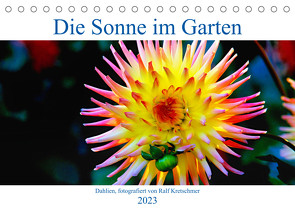 Die Sonne im Garten – Dahlien, fotografiert von Ralf Kretschmer. (Tischkalender immerwährend DIN A5 quer) von Kretschmer,  Ralf