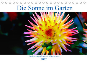 Die Sonne im Garten – Dahlien, fotografiert von Ralf Kretschmer. (Tischkalender immerwährend DIN A5 quer) von Kretschmer,  Ralf