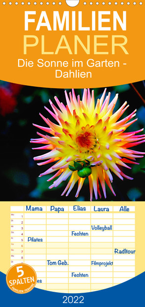 Familienplaner Die Sonne im Garten – Dahlien, fotografiert von Ralf Kretschmer. (Wandkalender 2022 , 21 cm x 45 cm, hoch) von Kretschmer,  Ralf