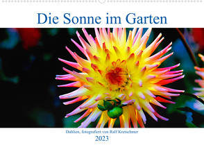 Die Sonne im Garten – Dahlien, fotografiert von Ralf Kretschmer. (Wandkalender immerwährend DIN A2 quer) von Kretschmer,  Ralf