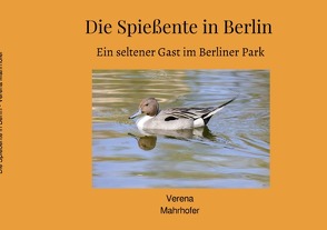 Die Spießente in Berlin von Mahrhofer,  Verena