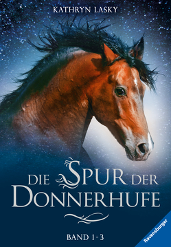 Die Spur der Donnerhufe, Band 1-3: Flammenschlucht, Sternenfeuer, Nebelberge von Khakdan,  Wahed, Lasky,  Kathryn, Wiemken,  Simone