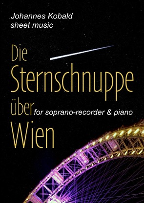 Die Sternschnuppe über Wien von Kobald,  Johannes