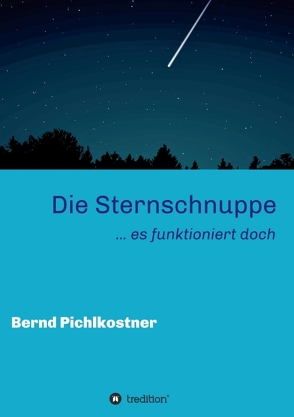 Die Sternschnuppe von Pichlkostner,  Bernd