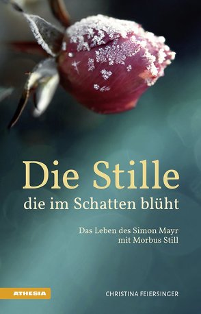 Die Stille, die im Schatten blüht von Feiersinger,  Christina