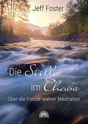 Die Stille im Chaos von Foster,  Jeff