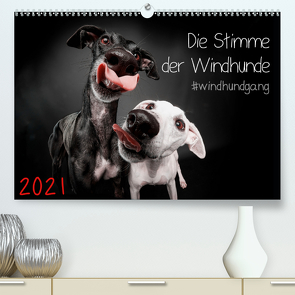 Die Stimme der Windhunde (Premium, hochwertiger DIN A2 Wandkalender 2021, Kunstdruck in Hochglanz) von Gier,  Marcus