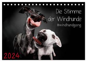 Die Stimme der Windhunde (Tischkalender 2024 DIN A5 quer), CALVENDO Monatskalender von Gier,  Marcus