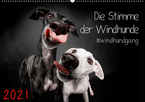 Die Stimme der Windhunde (Wandkalender 2021 DIN A2 quer) von Gier,  Marcus