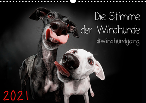 Die Stimme der Windhunde (Wandkalender 2021 DIN A3 quer) von Gier,  Marcus