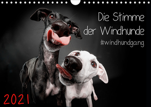 Die Stimme der Windhunde (Wandkalender 2021 DIN A4 quer) von Gier,  Marcus