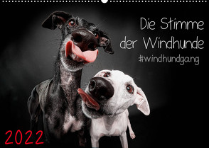 Die Stimme der Windhunde (Wandkalender 2022 DIN A2 quer) von Gier,  Marcus