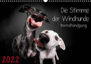 Die Stimme der Windhunde (Wandkalender 2022 DIN A3 quer) von Gier,  Marcus