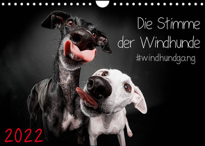 Die Stimme der Windhunde (Wandkalender 2022 DIN A4 quer) von Gier,  Marcus