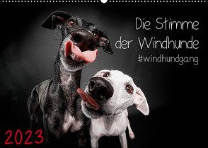 Die Stimme der Windhunde (Wandkalender 2023 DIN A2 quer) von Gier,  Marcus