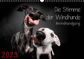 Die Stimme der Windhunde (Wandkalender 2023 DIN A3 quer) von Gier,  Marcus