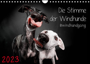 Die Stimme der Windhunde (Wandkalender 2023 DIN A4 quer) von Gier,  Marcus