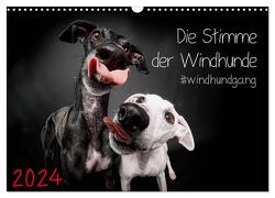 Die Stimme der Windhunde (Wandkalender 2024 DIN A3 quer), CALVENDO Monatskalender von Gier,  Marcus