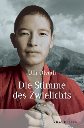 Die Stimme des Zwielichts von Olvedi,  Ulli