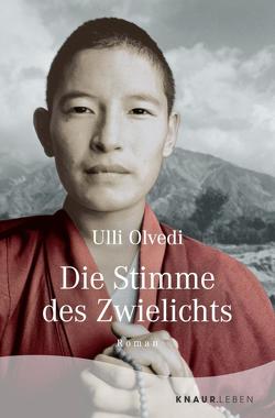 Die Stimme des Zwielichts von Olvedi,  Ulli