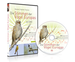 Die Stimmen der Vögel Europas auf DVD von Baumann,  Sabine, Bergmann,  Hans-Heiner, Engländer,  Wiltraud