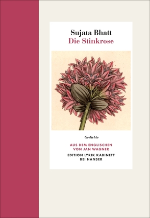 Die Stinkrose von Bhatt,  Sujata, Wagner,  Jan