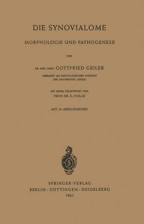 Die Synovialome von Geiler,  Gottfried, Holle,  G.