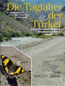 Die Tagfalter der Türkei unter Berücksichtigung der angrenzenden Länder von Hesselbarth,  Gerhard, Oorschot,  Harry van, Wagener,  Sigbert