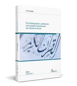 Die theologischen, juristischen und sozialen Dimensionen der Sünde im Koran von Inam,  Ahmet