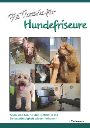 Die Theorie für Hundefriseure von Tiedemann,  Julia