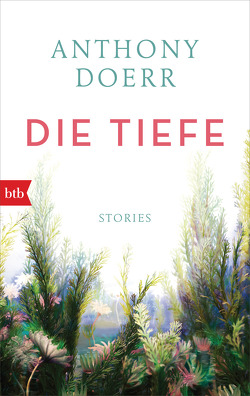 Die Tiefe von Doerr,  Anthony, Löcher-Lawrence,  Werner