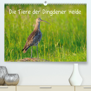 Die Tiere der Dingdener Heide (Premium, hochwertiger DIN A2 Wandkalender 2021, Kunstdruck in Hochglanz) von Wermter,  Christof