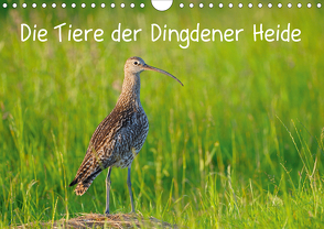 Die Tiere der Dingdener Heide (Wandkalender 2021 DIN A4 quer) von Wermter,  Christof