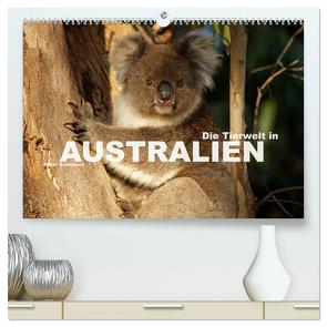 Die Tierwelt in Australien (hochwertiger Premium Wandkalender 2024 DIN A2 quer), Kunstdruck in Hochglanz von Schickert,  Peter